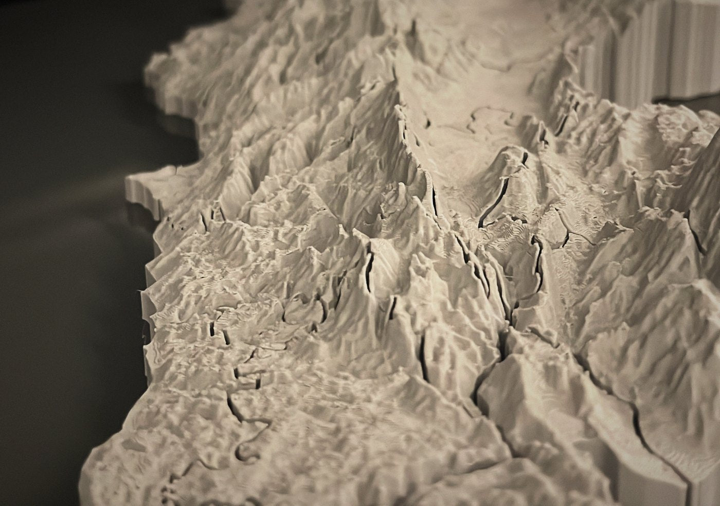 Close view of the printed white relief